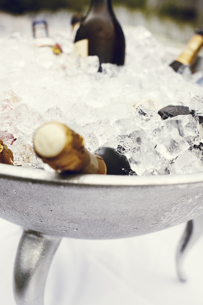 champagne cup, champagne cooler, champagne bucket-2138846.jpg
