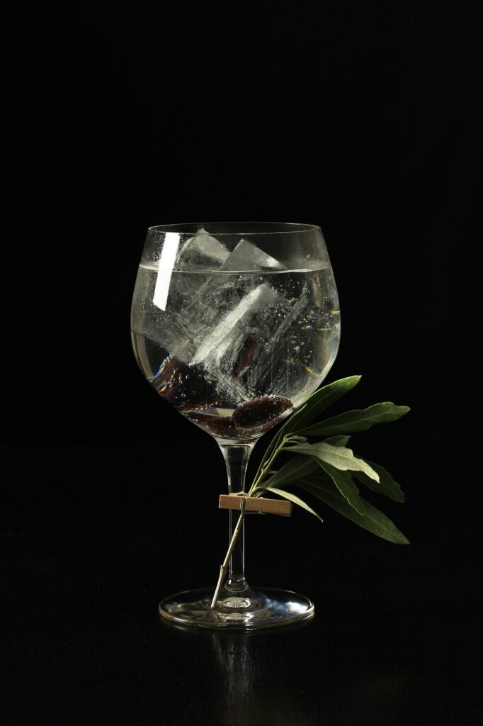 gin and tonic, cocktail, gin-4478215.jpg